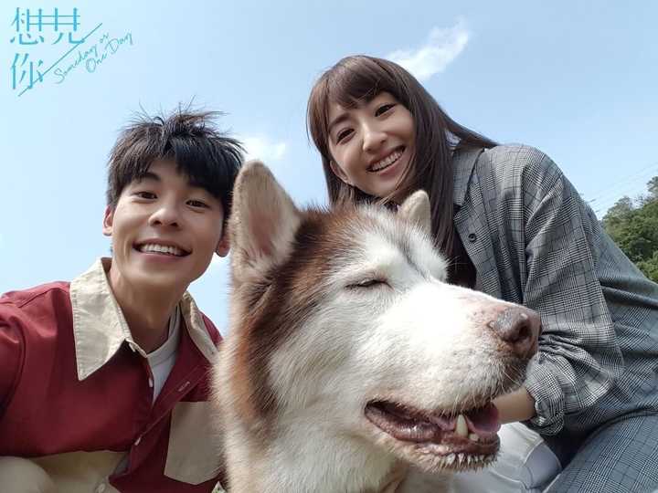 看过电视剧想见你你get到了什么