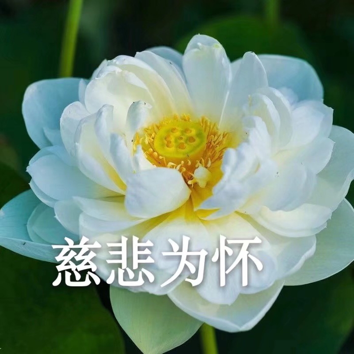 有兄弟有沙雕头像嘛?