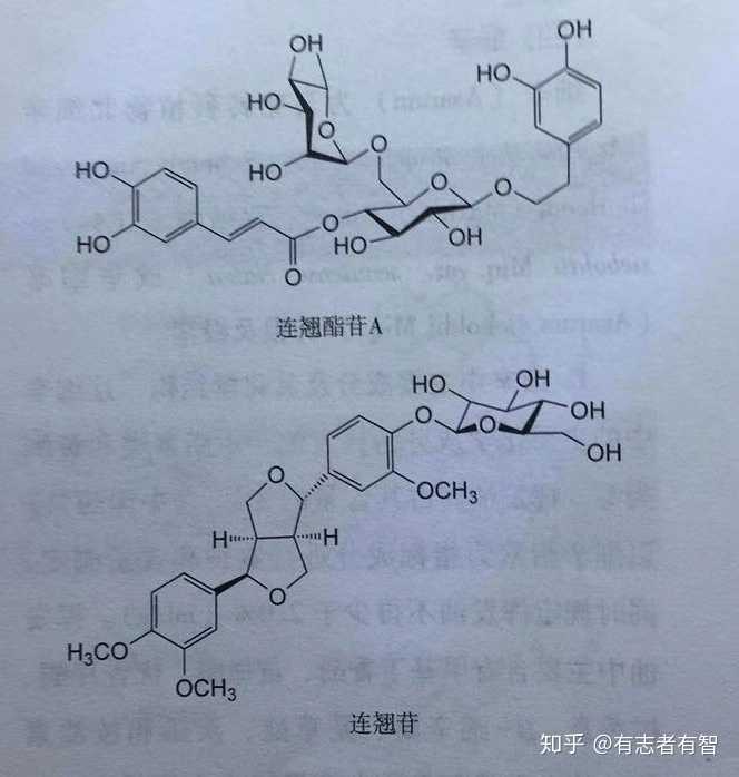 感觉双黄连抗病毒作用机制可能有奥司他韦样作用,通过抑制唾液酸苷酶