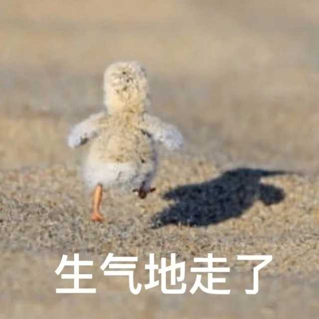有哪些可爱沙雕关于拜拜(再见)的表情包吗?