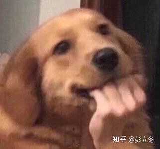 剩下好多傻傻的表情包看着难受 总是这样 不想再重蹈覆辙 写完这个