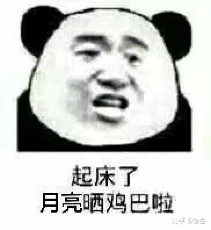 有哪些套路对象的表情包?