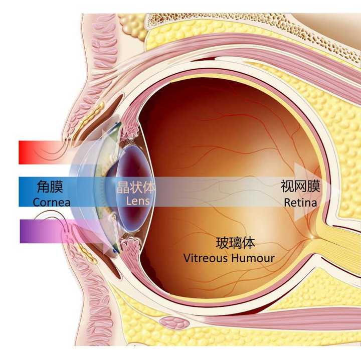 光线进入眼睛