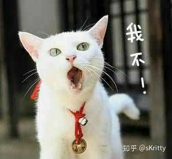 有没有高冷并沙雕的表情包?