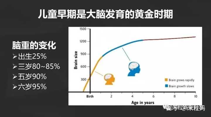 婴幼儿大脑发育的高峰期是什么时候?