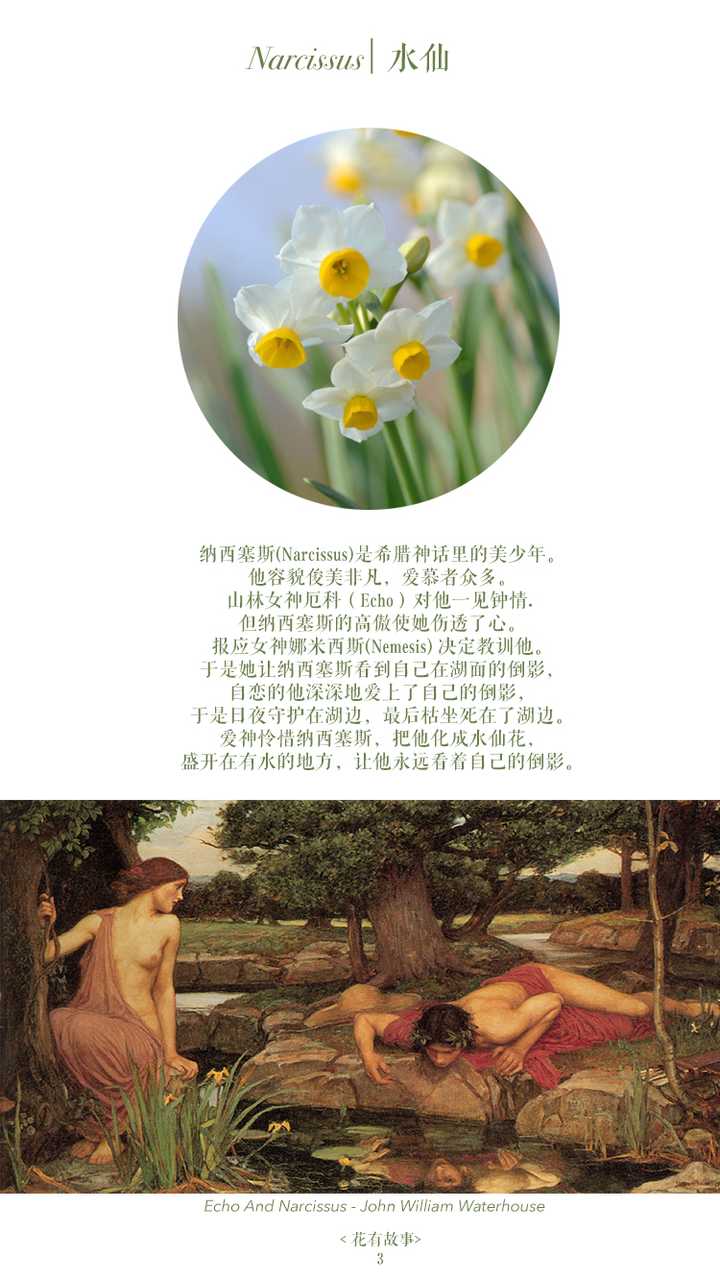 narcissus就是阿西塞斯的名字,后来他narcissus就成了自我陶醉者的代