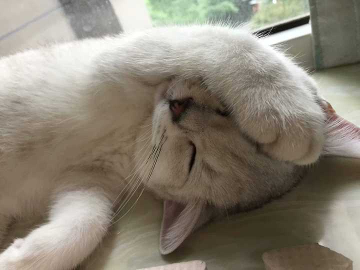 "没眼看没眼看"
