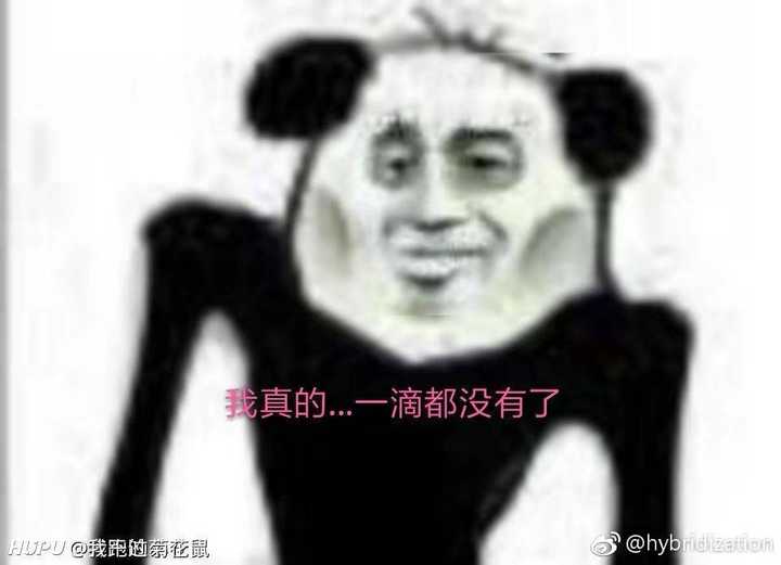 小时候对异性做过什么沙雕事情?