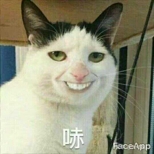 很喜欢这个表情包嘿嘿嘿