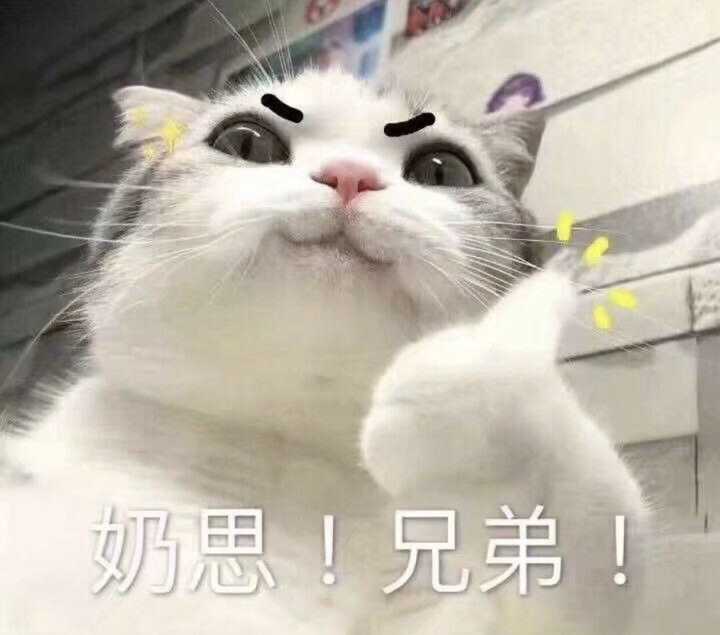 谁有猫猫狗狗的表情包啊!治愈系的?