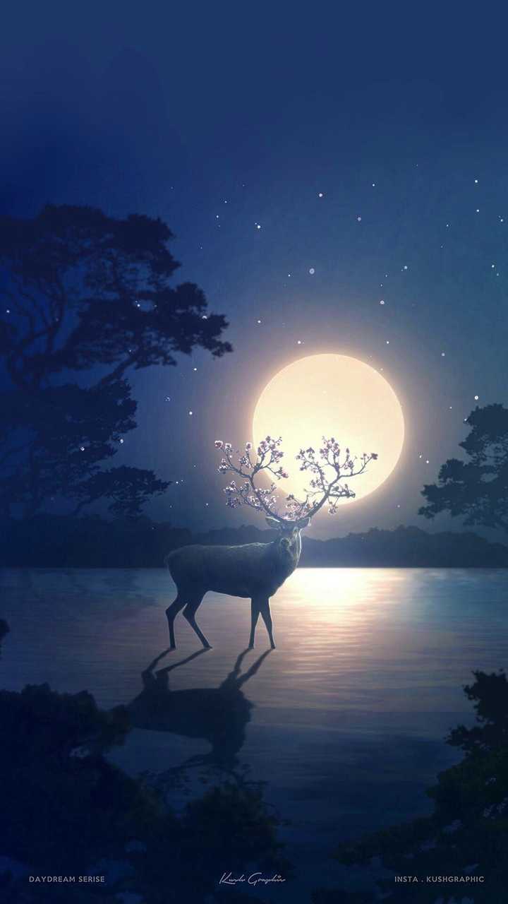 林深时见鹿,海蓝时见鲸,梦醒时见你