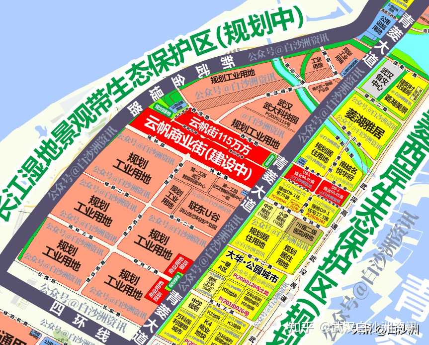 武汉白沙洲资讯
