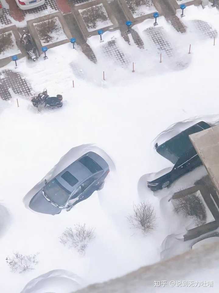 内蒙古大学生在校园内被狂风暴雪吹着走你见过最大的暴风雪是在什么