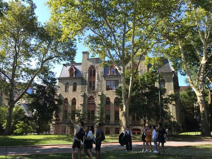 在宾夕法尼亚大学 (university of pennsylvania) 就读是怎样一番体验