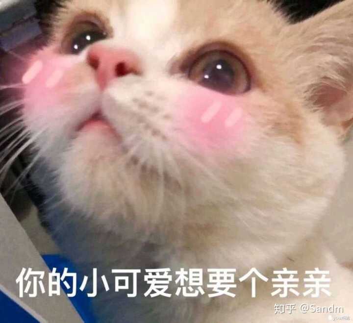 你有什么套路男朋友的表情包嘛?