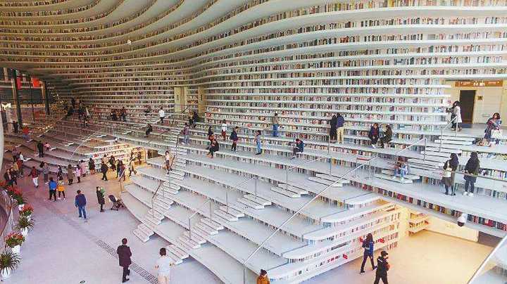 天津图书馆和滨海图书馆是在一个地方吗?区别在哪里?