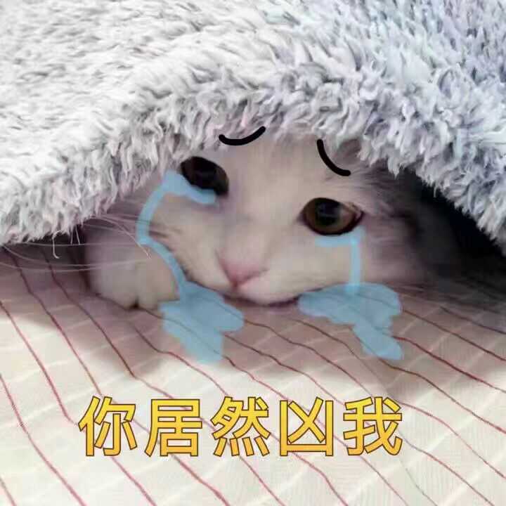 有哪些可爱的表情包?