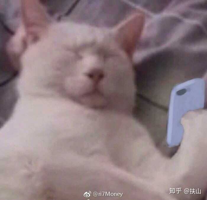 有哪些跟沙雕的头像和壁纸或者小玩意儿?