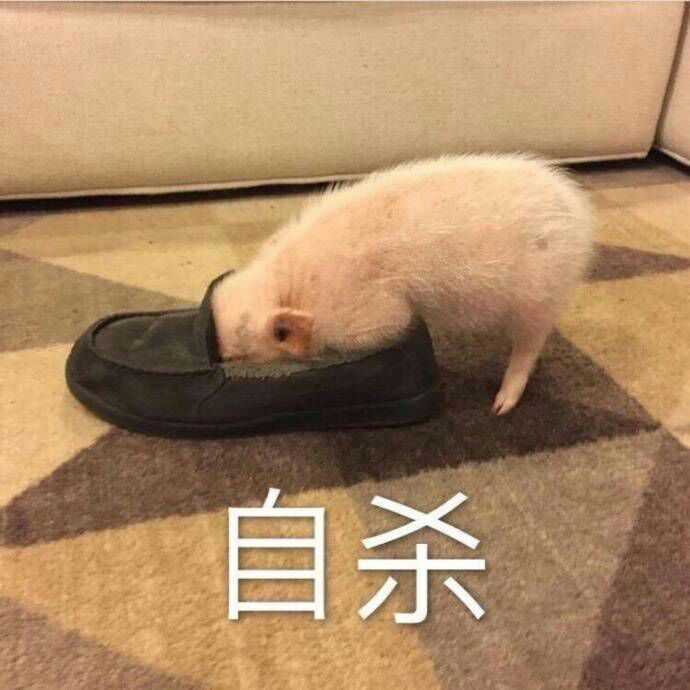 疼吗?你们当时怕吗?