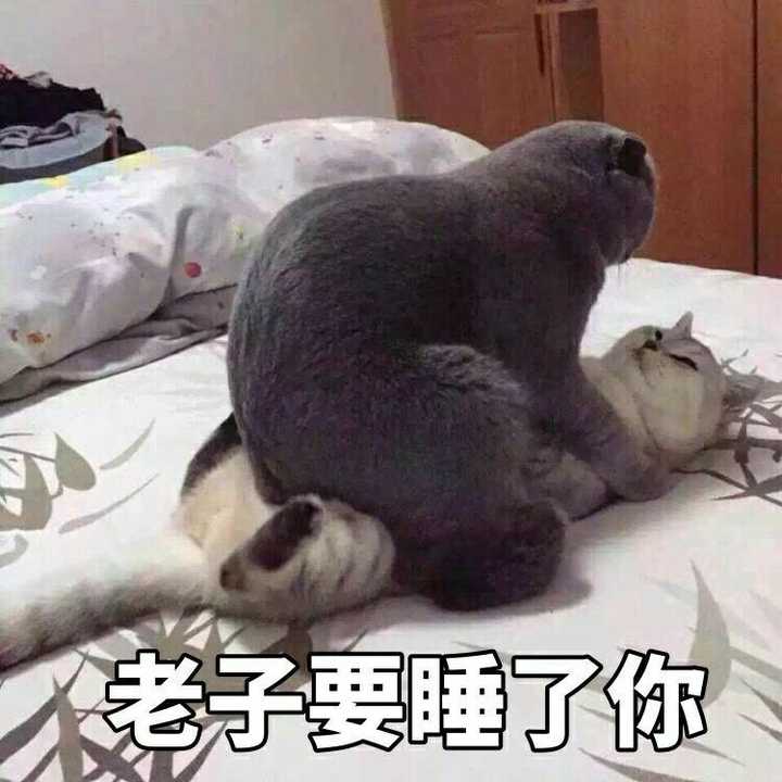 如何骗男孩子上床表情包