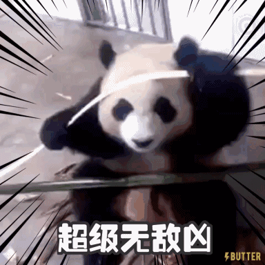 有没有很可爱的熊猫表情包或者视频?