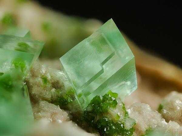 你所看到的石头可以有多漂亮?