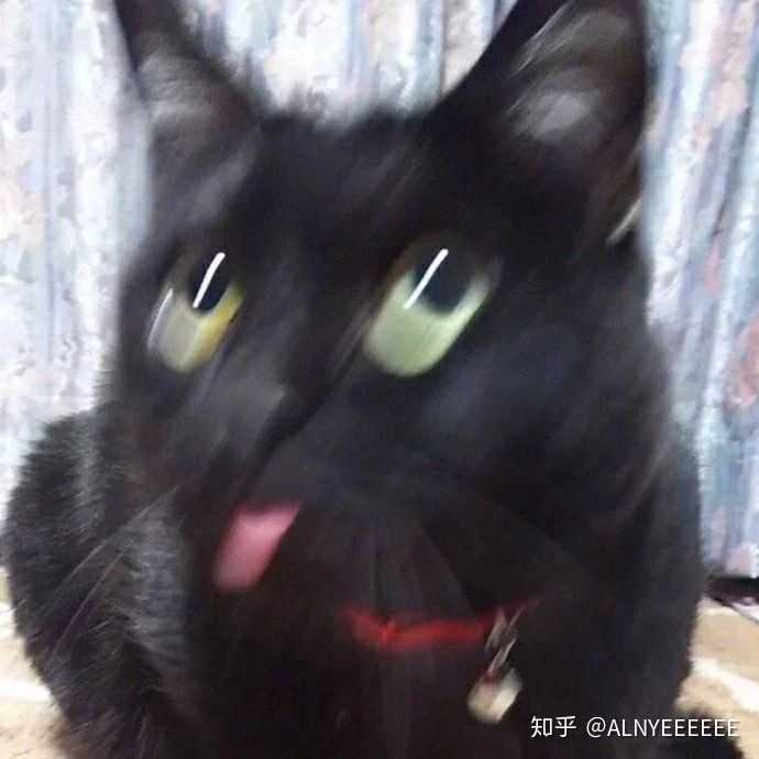 微信头像会影响第一印象吗?