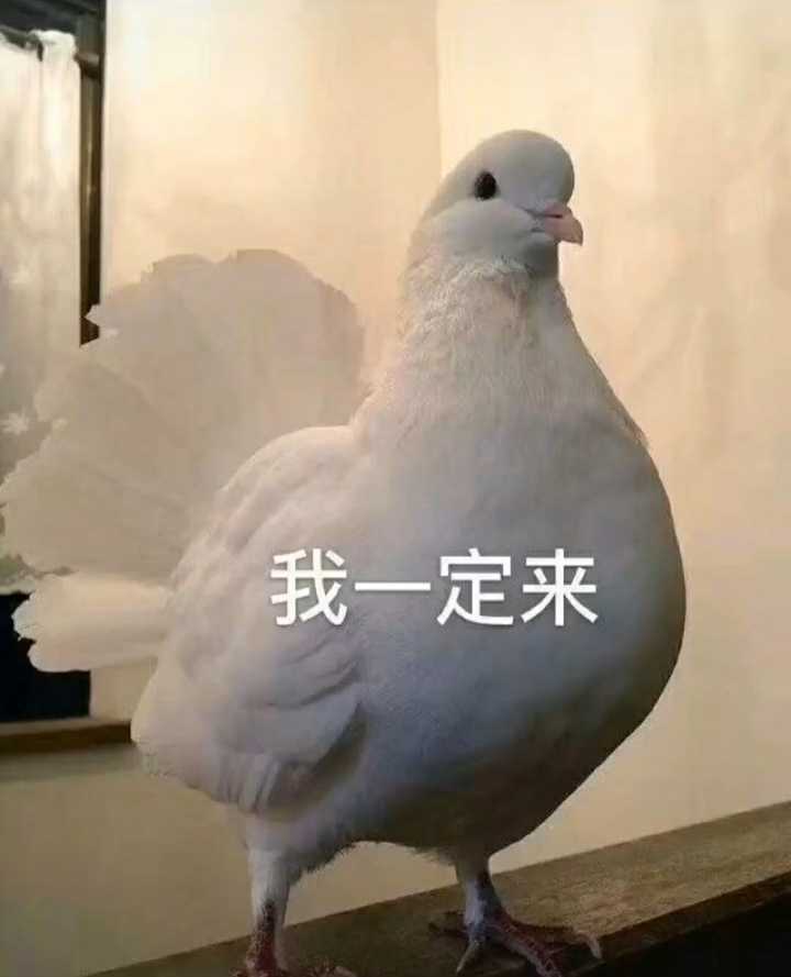 女生老是用沙雕表情包会不会引起反感?