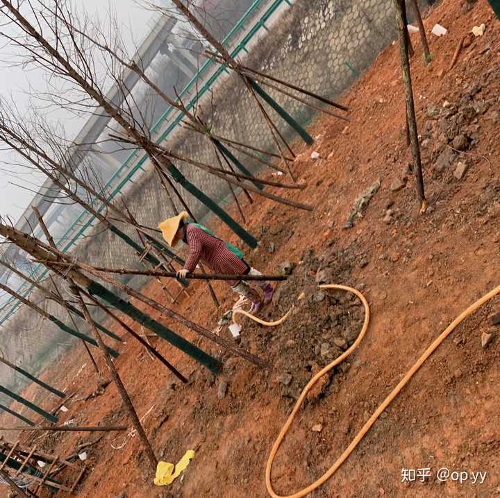 园林景观施工流程和施工工艺是怎样的?
