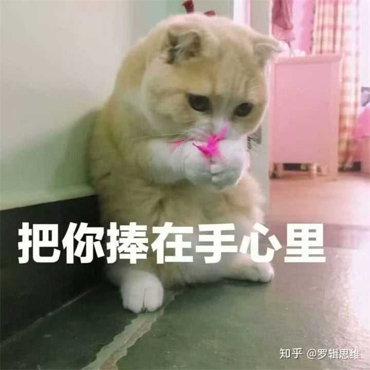 有哪些可以哄女朋友的表情包