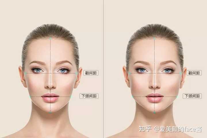 左边为标准脸型,比例为75;右边为脸较宽,比例为88%