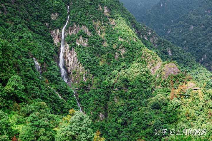 浙江泰顺有没有特色好玩的旅游景点?