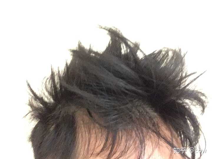 拥有一头又炸又多的头发是什么感觉?