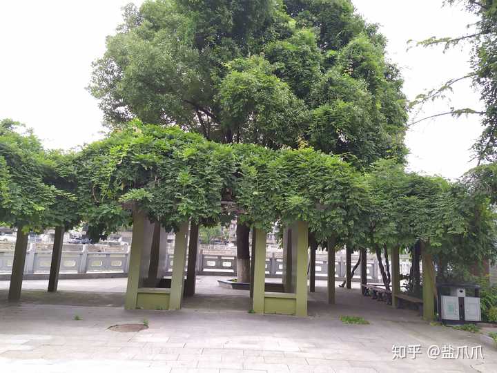 在宜兴市第一中学学校就读是什么体验?