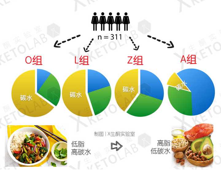 实验结果:a组(最高脂肪,最低碳水)的体重,bmi,体脂率,腰臀比都比其他