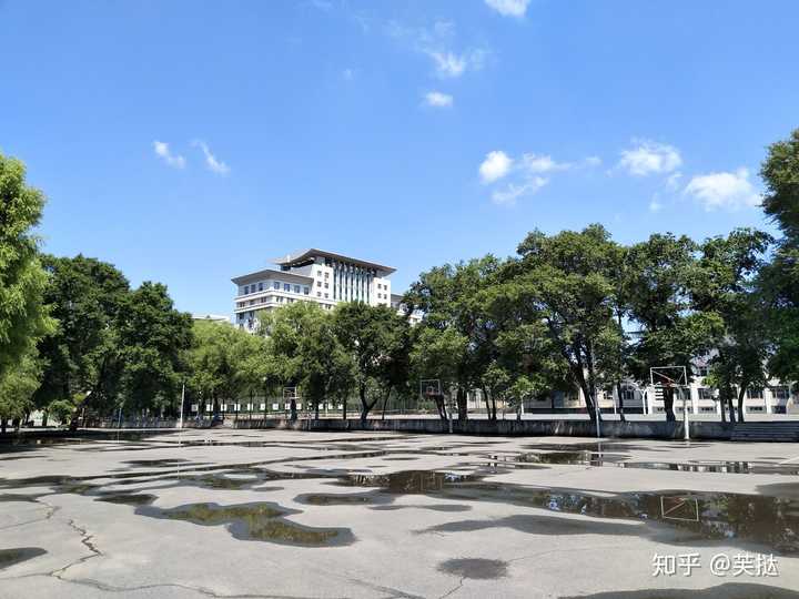 东北林业大学有什么优点嘛大家说说?