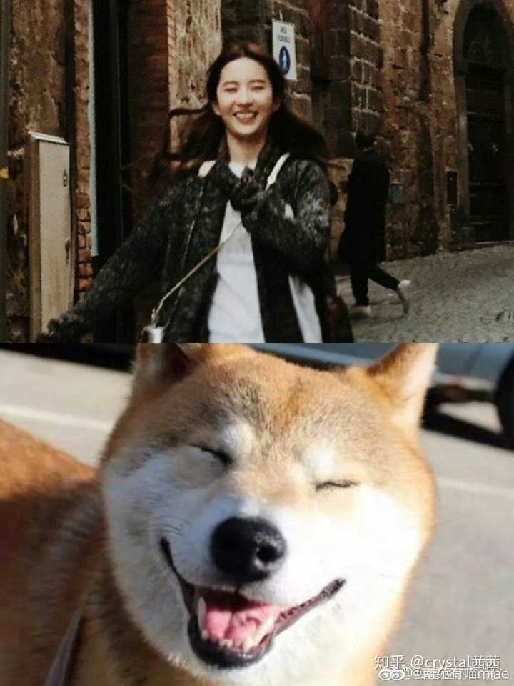 你认为国内最好看的女明星有谁?