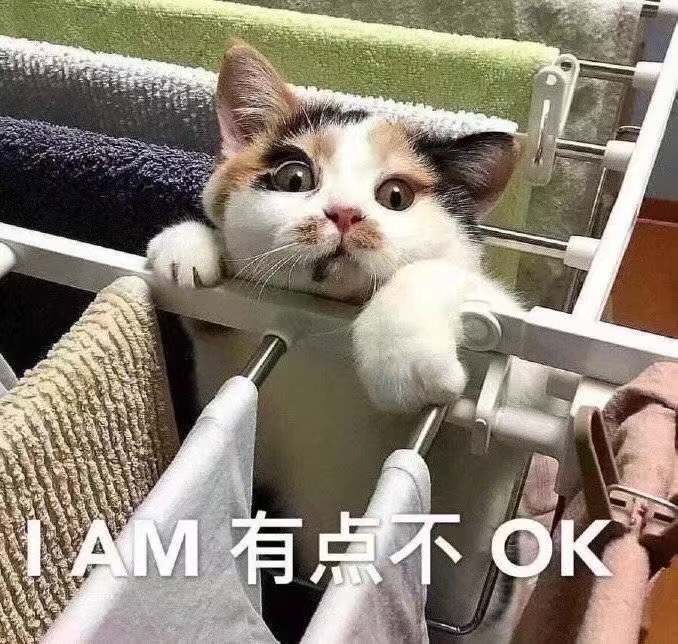 大家,有没有猫的沙雕表情包?