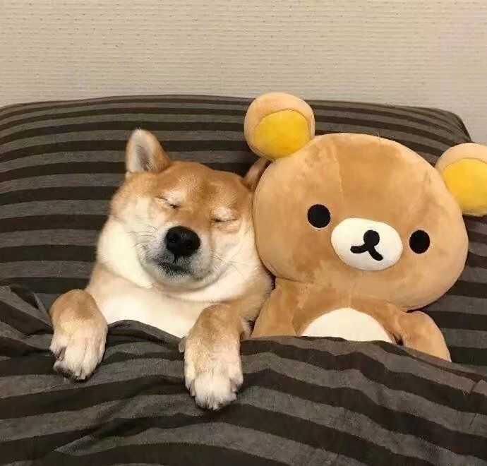 你见过哪些让人一眼记住的头像?