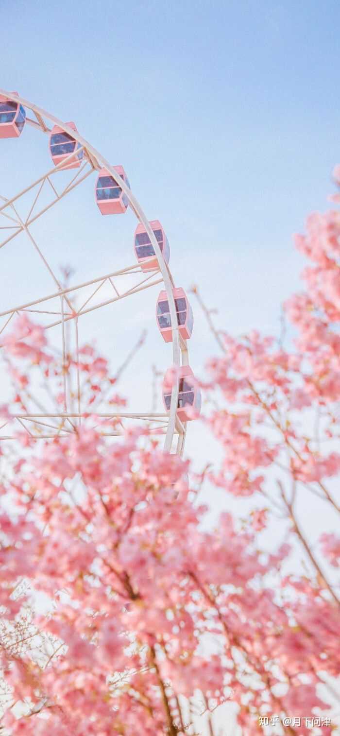 有没有高清微信背景图,粉色日系樱花类的?