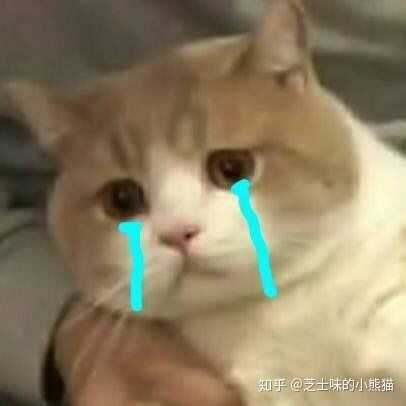有没有什么让全场震惊的沙雕表情包?