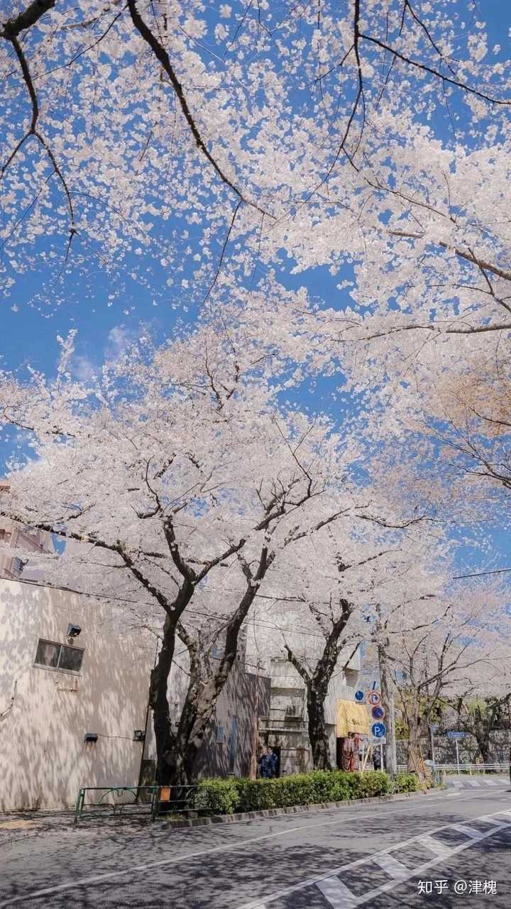 有什么很惊艳的日系风格全屏壁纸?