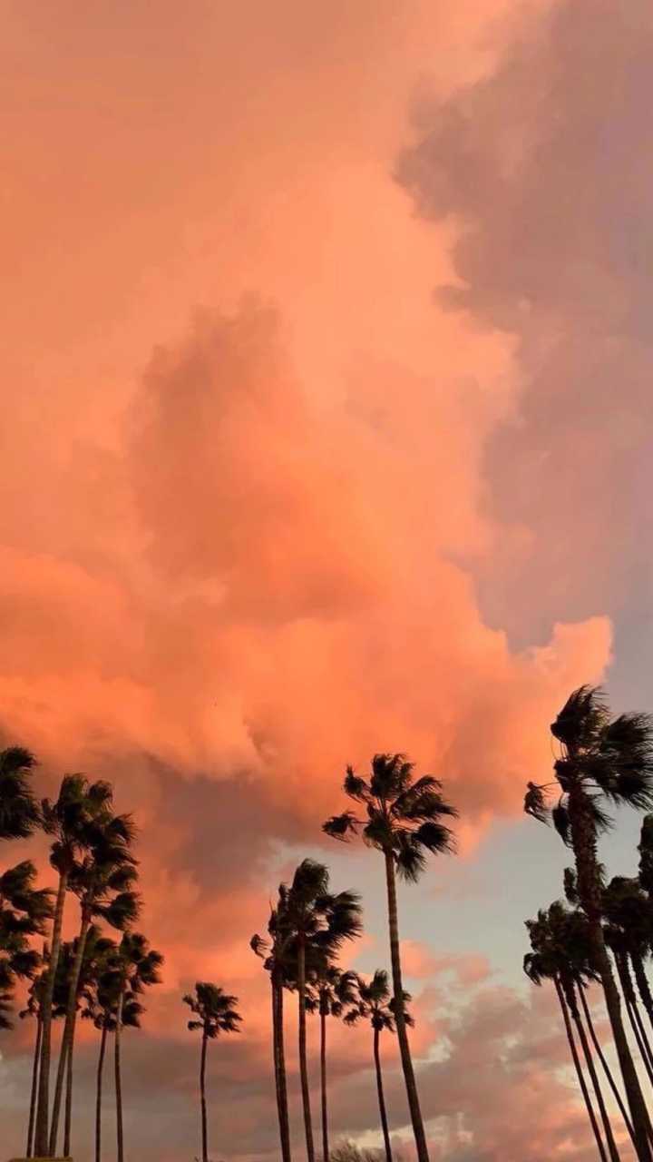 有没有适合网易云音乐的背景图?