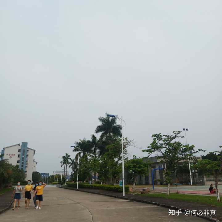 肇庆医学高等专科学校的校园环境如何?