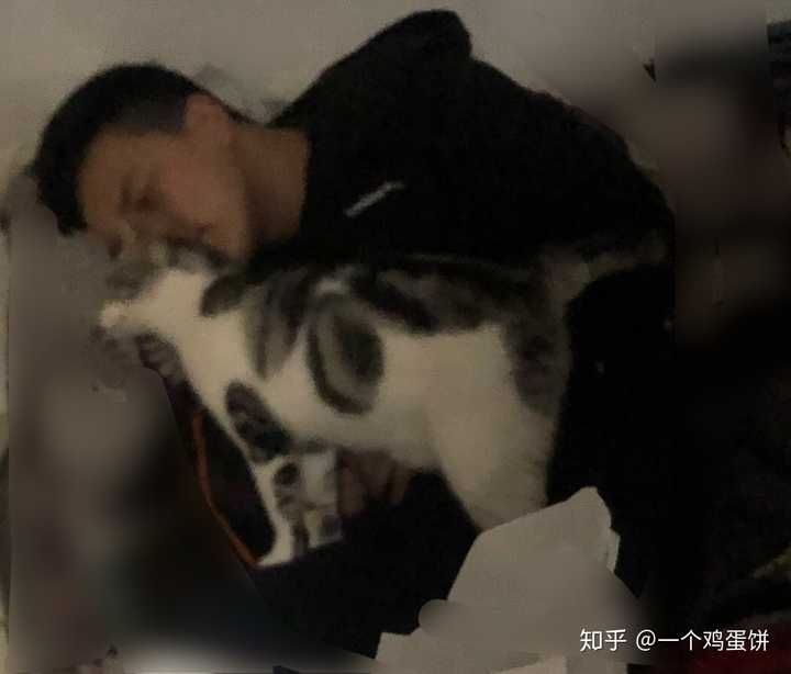 男人和猫!