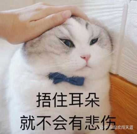 想问一下发女朋友表情包 惹女朋友生气了怎么哄呀?