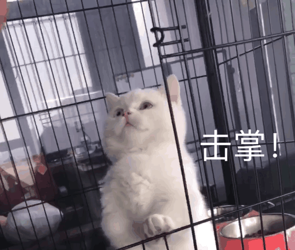 600_507gif 动态图 动图