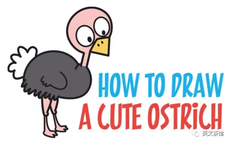 如何画一只萌萌的鸵鸟 how to draw   cute ostrich