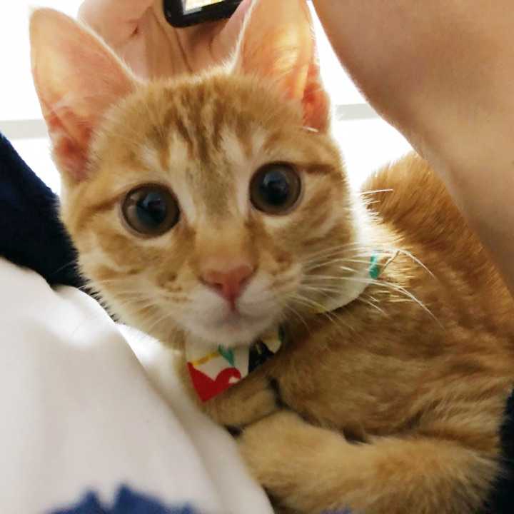 跟我抢男人……抱着我男朋友不撒手,撒娇,要抱抱,蹭蹭!