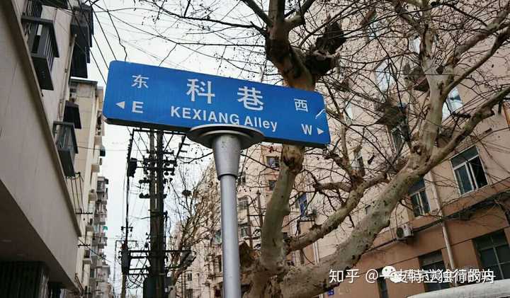 南京的两条小巷子倒蛮有逛头,科巷和三七八巷.人情味足,小吃也够惊艳.
